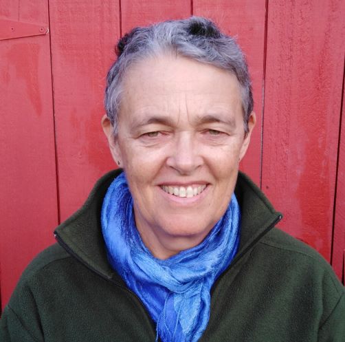 Shelley Arlidge