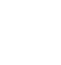 iconic-icon