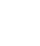 secure-icon